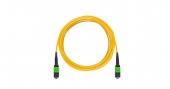 кабельная сборка nikomax волоконно-оптическая, 12 волокон, одномодовая 9/125 мкм, стандарта os2, 1xmtp/female-1xmtp/female, премиум, полярность а, lszh, 25м купить